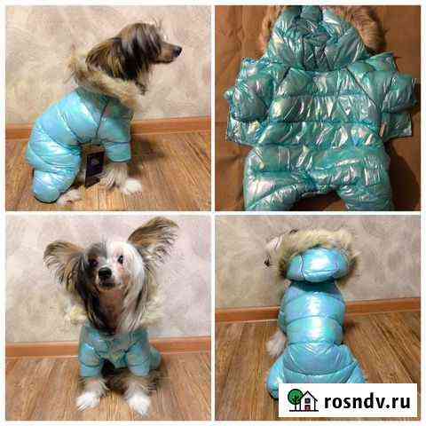 Зимний комбинезон для собак Ангарск