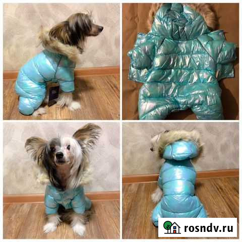 Зимний комбинезон для собак Ангарск - изображение 1