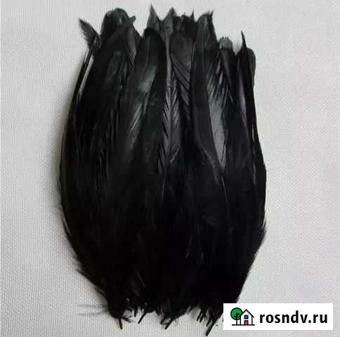 Перья фазана Ачинск - изображение 1