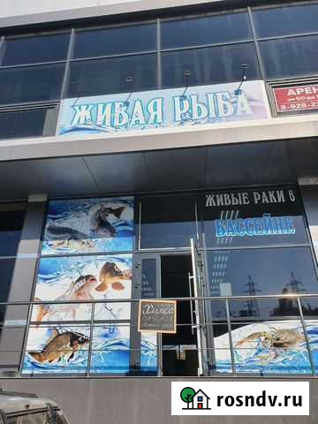 Продам готовый бизнес продуктовый магазин Новороссийск - изображение 1