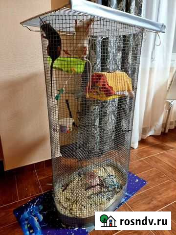 Клетка для тёщи или кого угодно 100*65*45 элипс 4 Анапа - изображение 1