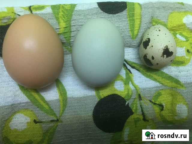 Губкинский. 629830 Губкинский - изображение 1