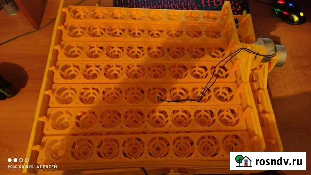 Лотки для инкубатора Елань - изображение 1