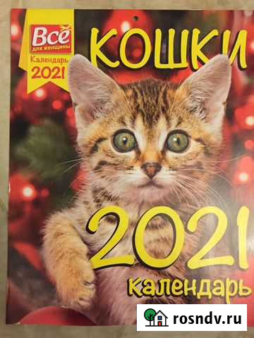 Кошки календарь 2021 год Москва - изображение 1
