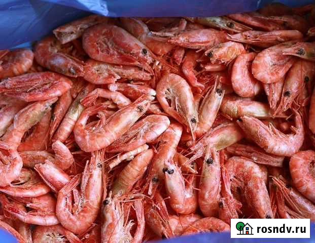 Креветка Сухая заморозка 90+ крупная насыщеная Динская - изображение 1
