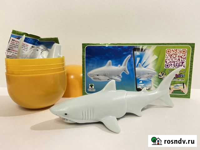 Киндер Сюрприз Natoons 2021 Maxi Троицк - изображение 1