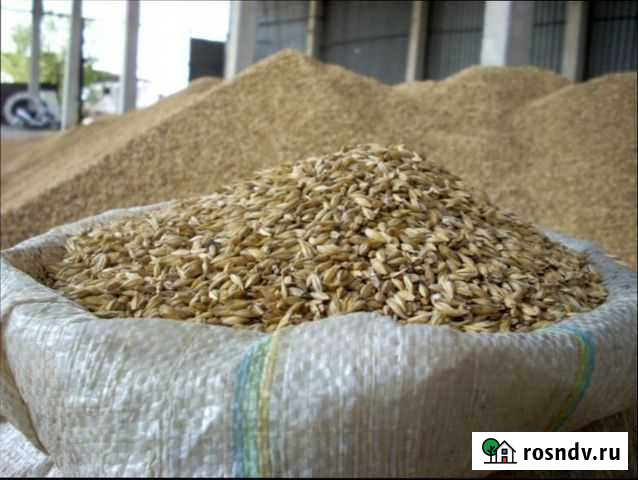 Рыбная мука Саранск - изображение 1