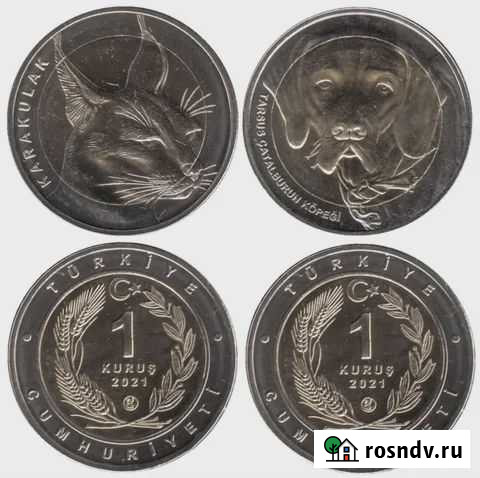 Турция 1 куруш 2021 г. (Каракал и Каталбурун) Екатеринбург - изображение 1