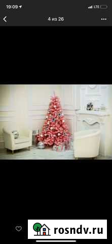 Ёлка Барнаул - изображение 1