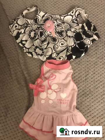 Одежда для собак Раменское - изображение 1