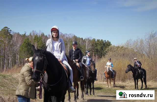 Прогулки на лошадях, Эльмаш, Калиновский лесопарк Екатеринбург - изображение 1