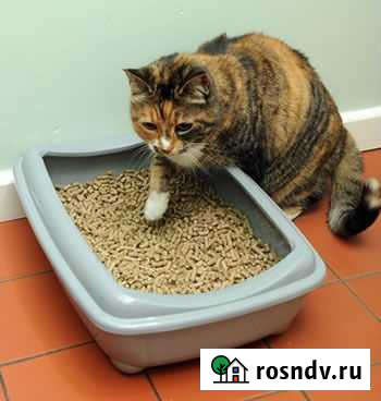 Древесные наполнители Раменское - изображение 1