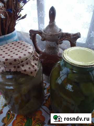 Огурцы соленые Брянск - изображение 1