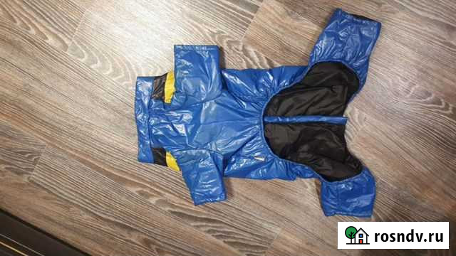 Костюм для средней собаки Бугульма - изображение 1