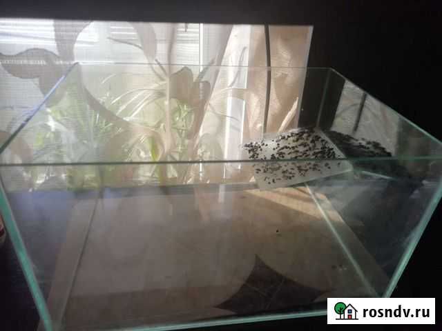 Аквариум для Черепах Саратов - изображение 1