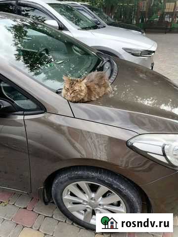 Услуги автоподбора Брянск - изображение 1