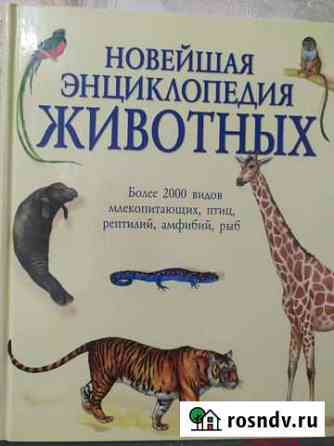 Энциклопедия для детей Севастополь