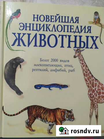 Энциклопедия для детей Севастополь - изображение 1