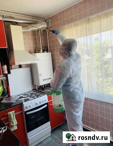 Уничтожение клопов тараканов Covid-19 Астрахань - изображение 1