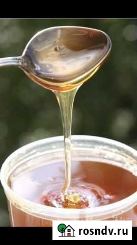 Мёд урожай 2021 г Брянск - изображение 1