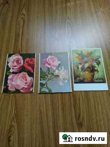 Открытки Цветы 1946-47 год Нальчик - изображение 1
