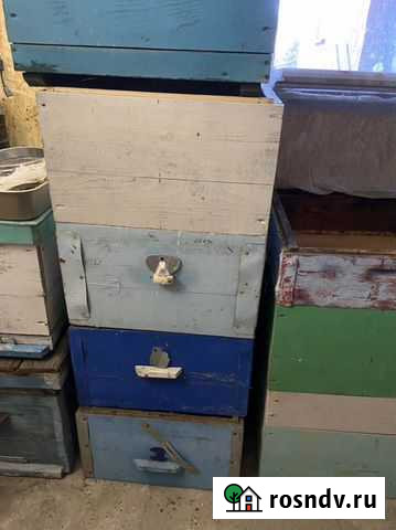 Продам Улеи Южноуральск - изображение 1