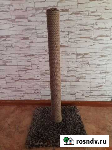 Когтеточка Райчихинск - изображение 1