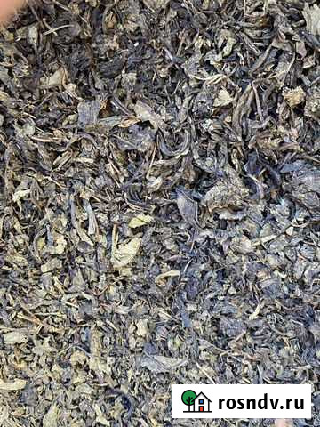 Иван-чай выращено сибири Симоненко - изображение 1