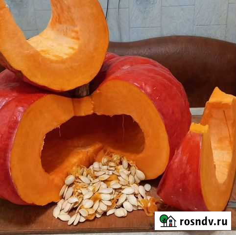 Тыква Иловля - изображение 1