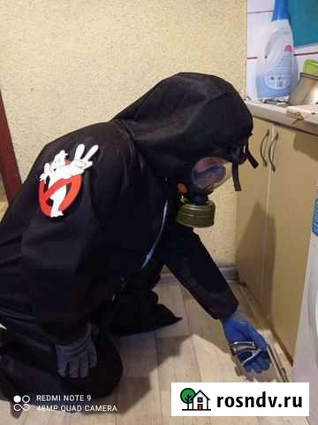 Уничтожение комаров клещей борщевика клопов ос Домодедово - изображение 1