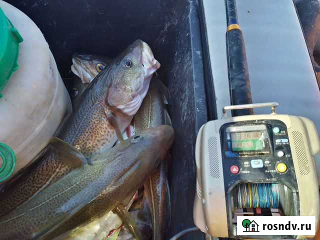 Морская электрическая катушка Вологда - изображение 1