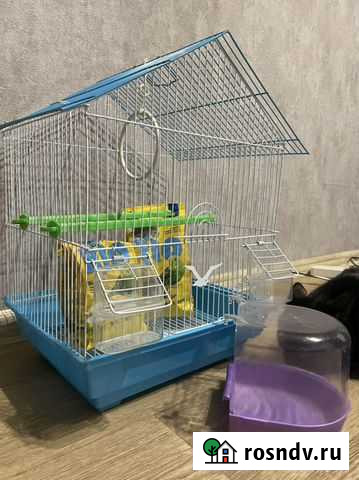 Клетка, купальник и корм Волгоград - изображение 1