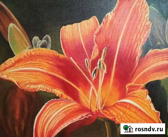 Лилия, картина, масло, холст 60х50см Рязань - изображение 1