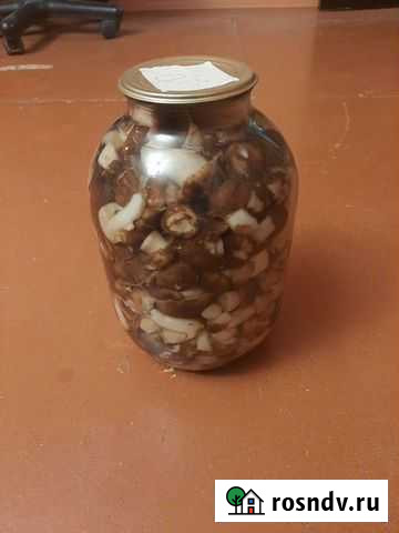 Грибы маринованные Астрахань - изображение 1