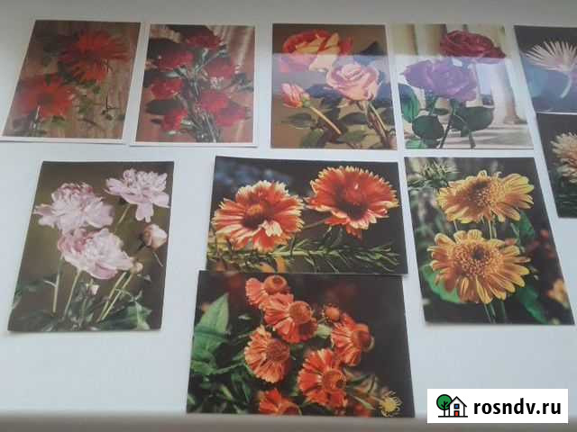 Открытки цветы Самара - изображение 1