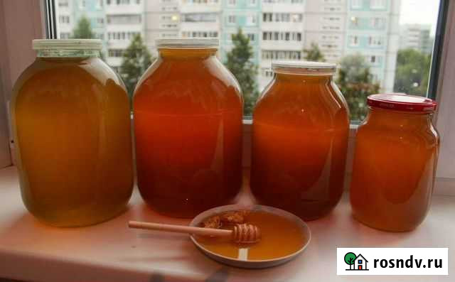 Мед Башкирский(натуральный) Стерлитамак - изображение 1