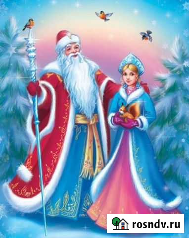 Дед Мороз и Снегурочка Ачинск - изображение 1