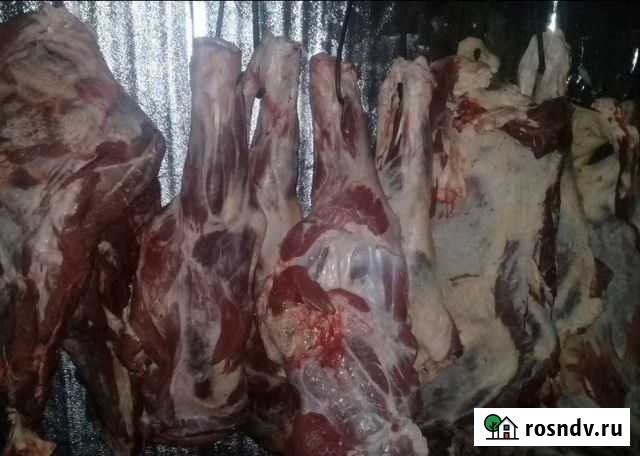 Продажа свежего мяса Новокузнецк - изображение 1