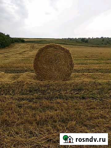 Солома Валуйки - изображение 1
