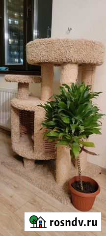 Когтеточка домик для кошки Мурино - изображение 1