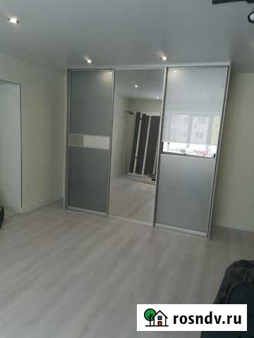 Шкаф купе Саратов - изображение 1