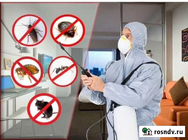 Дезинфекция, Санитар обработ. от различ насекомых Нижний Тагил - изображение 1