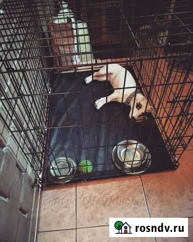 Клетка №4 одна дверь Оренбург - изображение 1