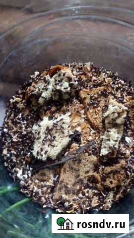 Выпечка Бийск - изображение 1