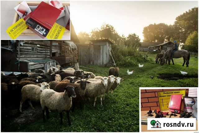 Электропастух Тюмень - изображение 1