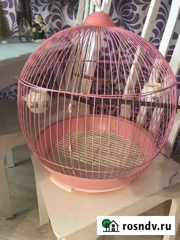 Клетка Копейск - изображение 1