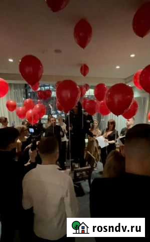 Воздушный шар Москва - изображение 1