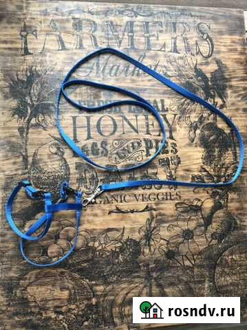 Шлейка и поводок для котенка Заокский - изображение 1