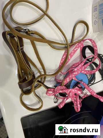 Для кошек и собак Чебоксары - изображение 1