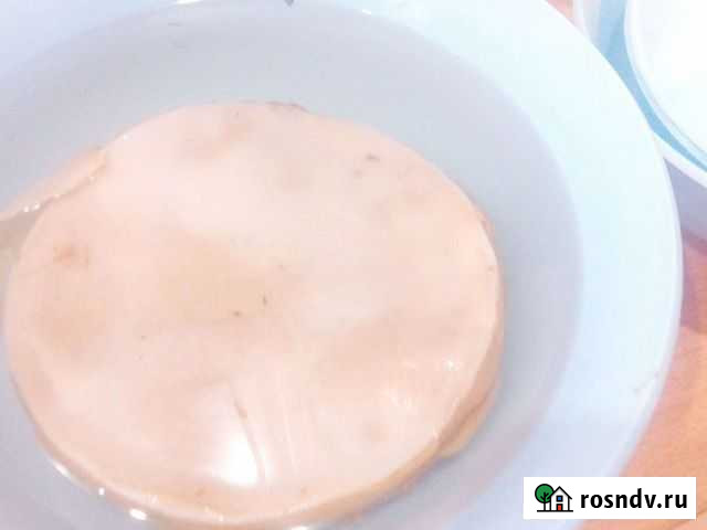 Чайный гриб Пермь - изображение 1